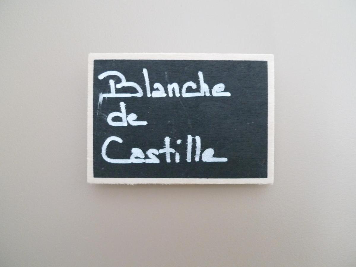 O 36 Rempart Sud B&B Aigues-Mortes Buitenkant foto